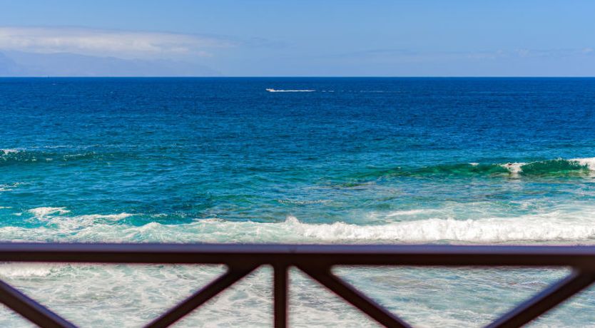 Photo of Blue Neptuno