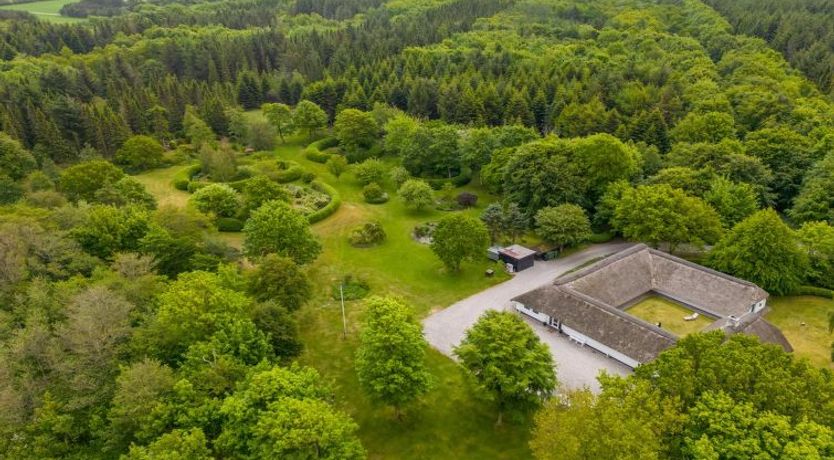 Photo of "Tatiane" - 10km from the sea