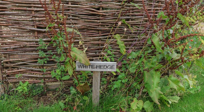 Photo of Whitehedge