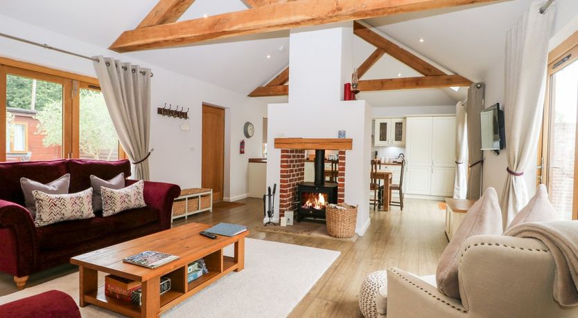 Photo of Squirrels Drey