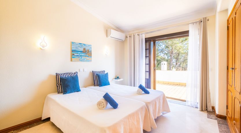 Photo of Sun on a Palm Tree