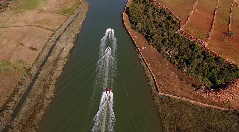 Photo of Sun on a Palm Tree