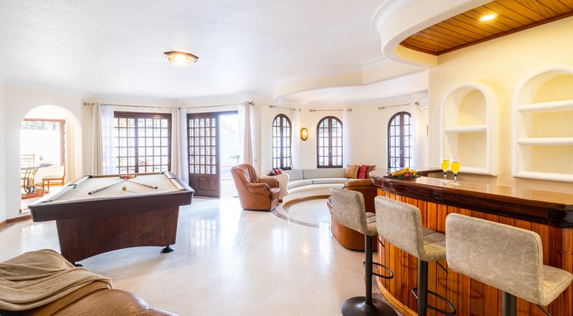 Photo of Sun on a Palm Tree