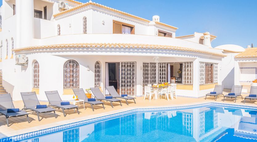 Photo of Sun on a Palm Tree