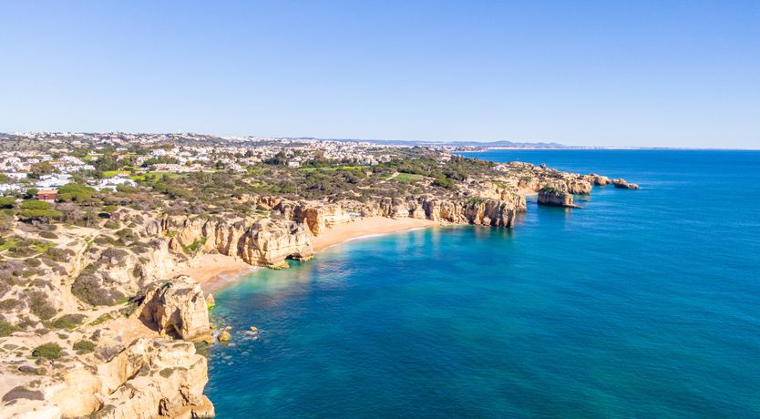 Photo of Sun on a Palm Tree