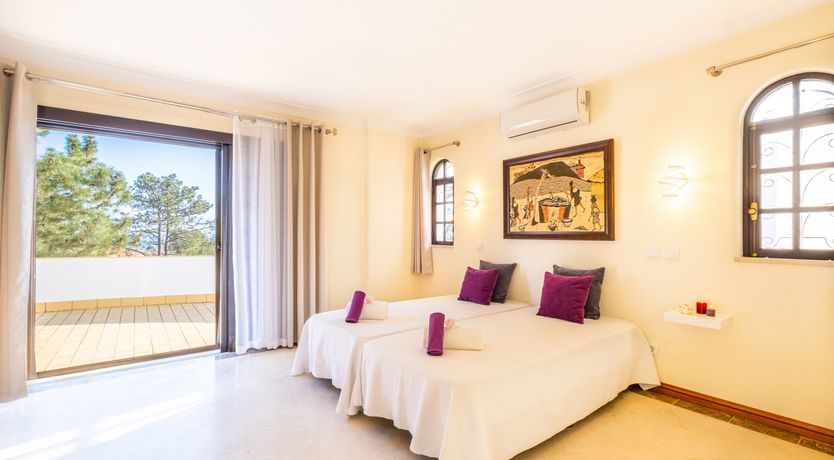 Photo of Sun on a Palm Tree