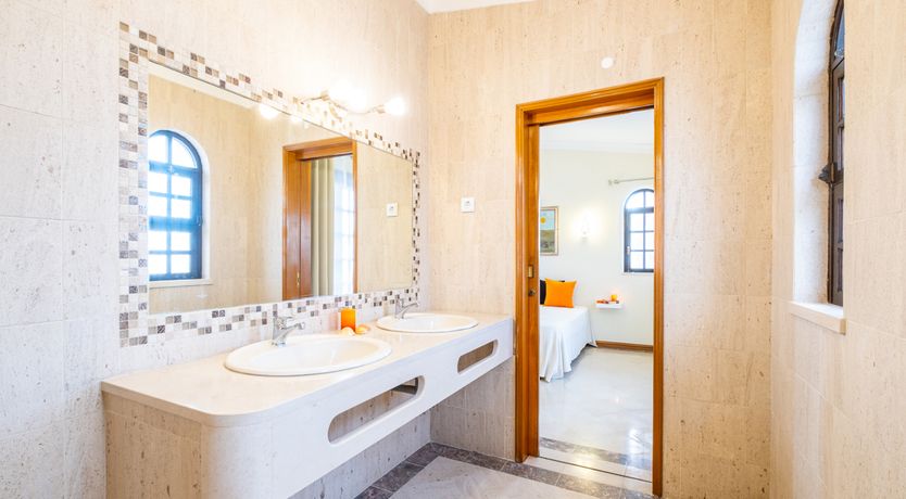 Photo of Sun on a Palm Tree