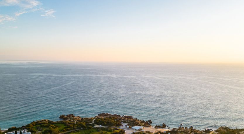 Photo of Sun on a Palm Tree