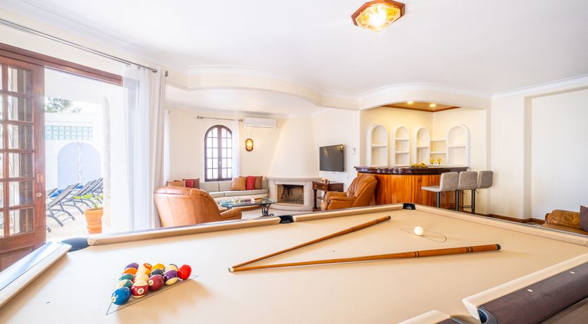 Photo of Sun on a Palm Tree