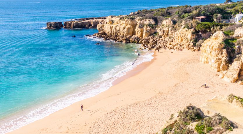 Photo of Sun on a Palm Tree