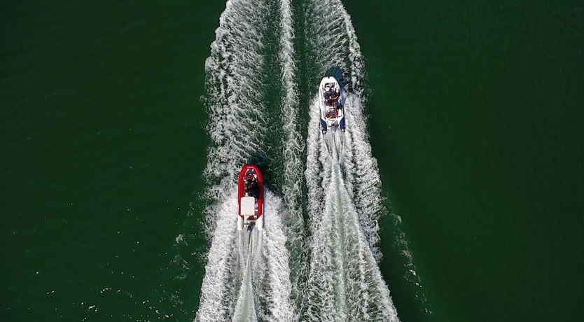 Photo of Sun on a Palm Tree