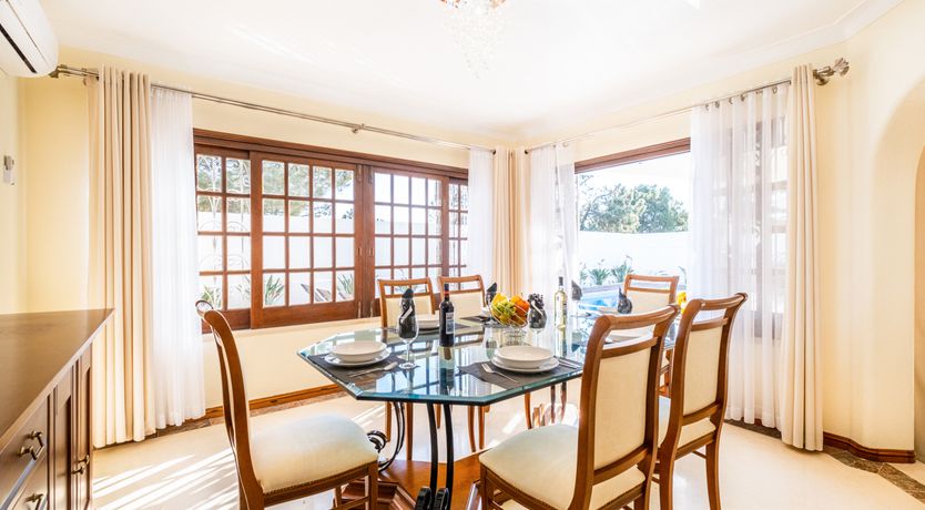 Photo of Sun on a Palm Tree