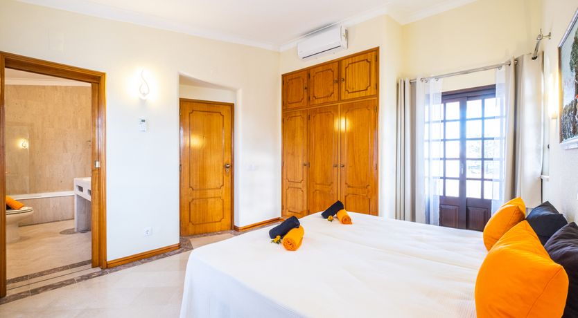 Photo of Sun on a Palm Tree