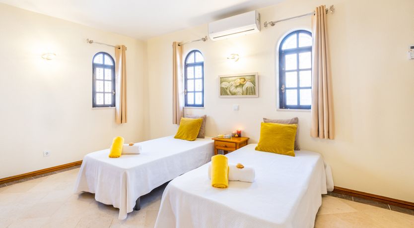 Photo of Sun on a Palm Tree