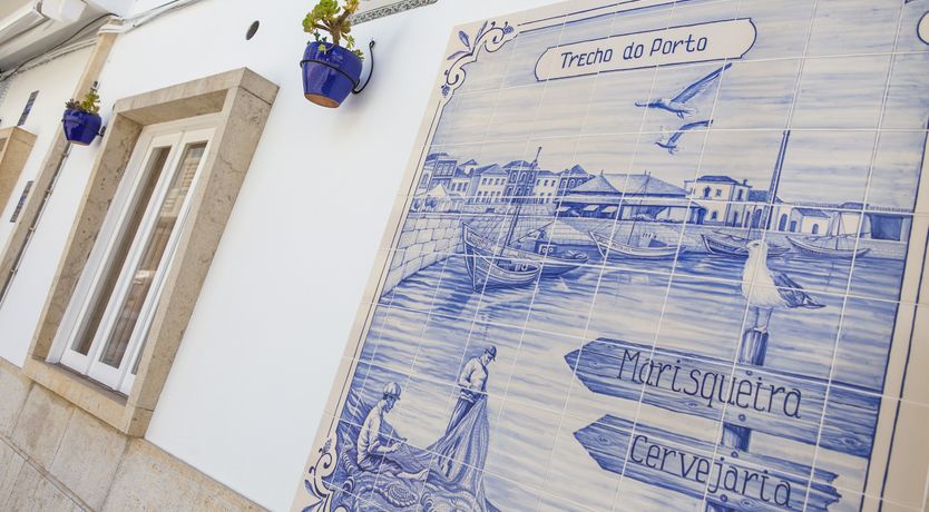 Photo of Sun on a Palm Tree