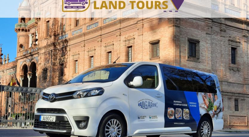 Photo of Sun on a Palm Tree