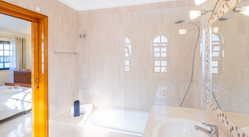 Photo of Sun on a Palm Tree