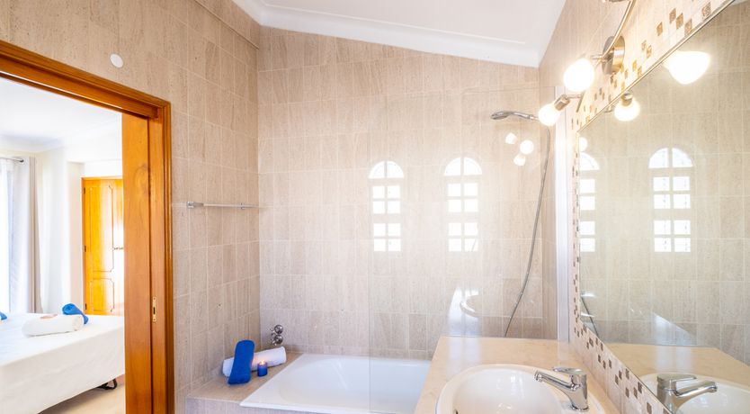 Photo of Sun on a Palm Tree