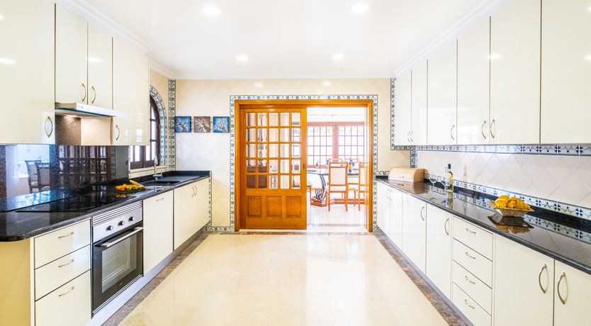 Photo of Sun on a Palm Tree