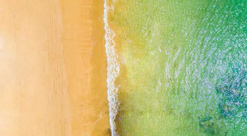 Photo of True Sunshine