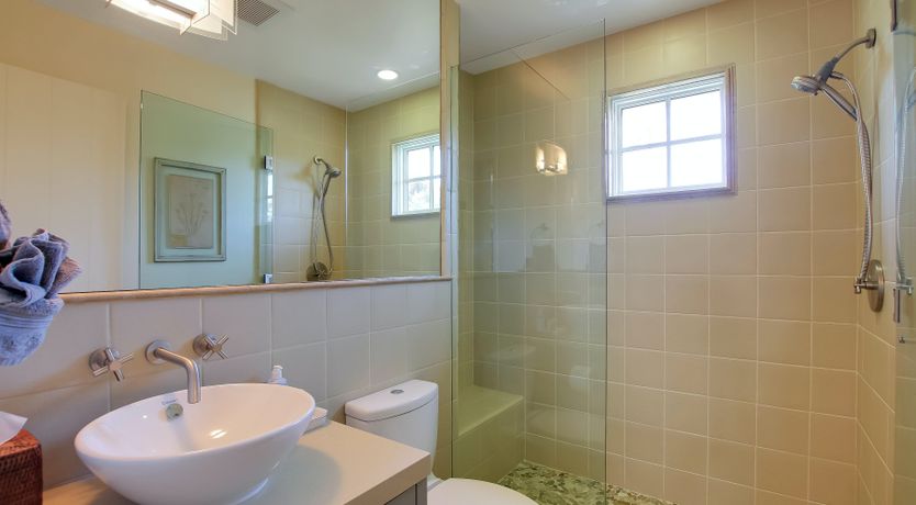 Photo of The White Bird