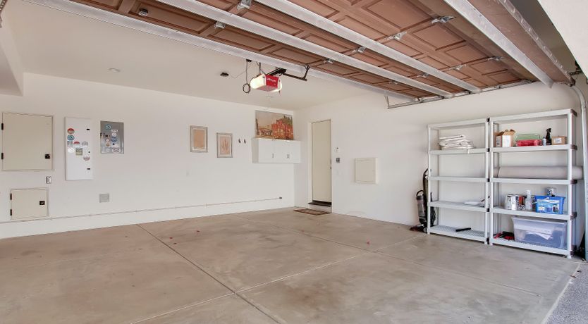 Photo of The White Bird