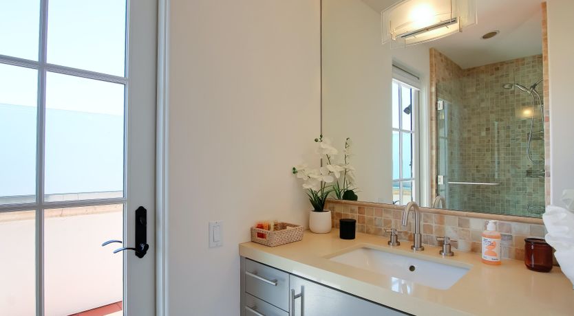 Photo of The White Bird