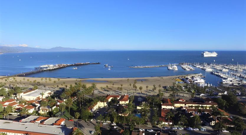 Photo of The White Bird