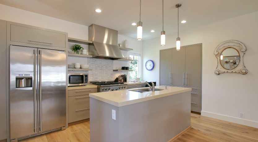 Photo of The White Bird