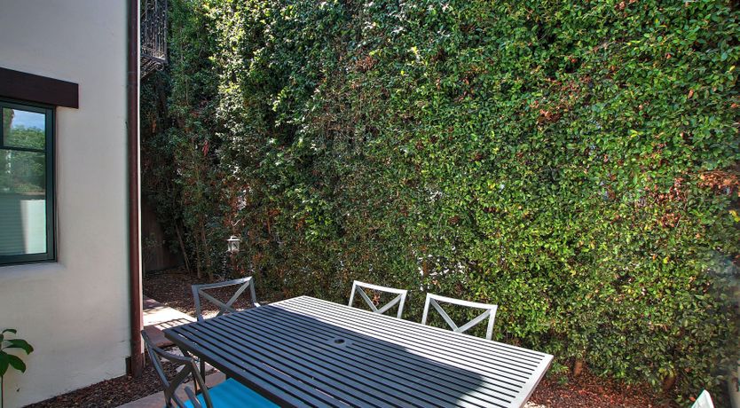 Photo of The White Bird