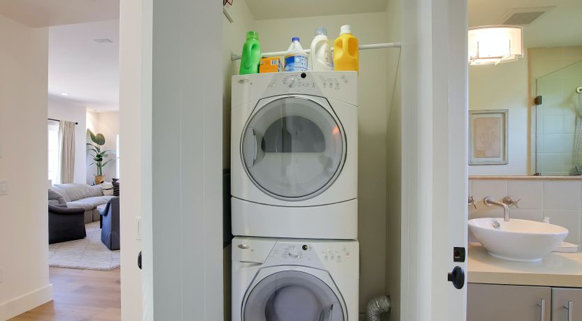 Photo of The White Bird