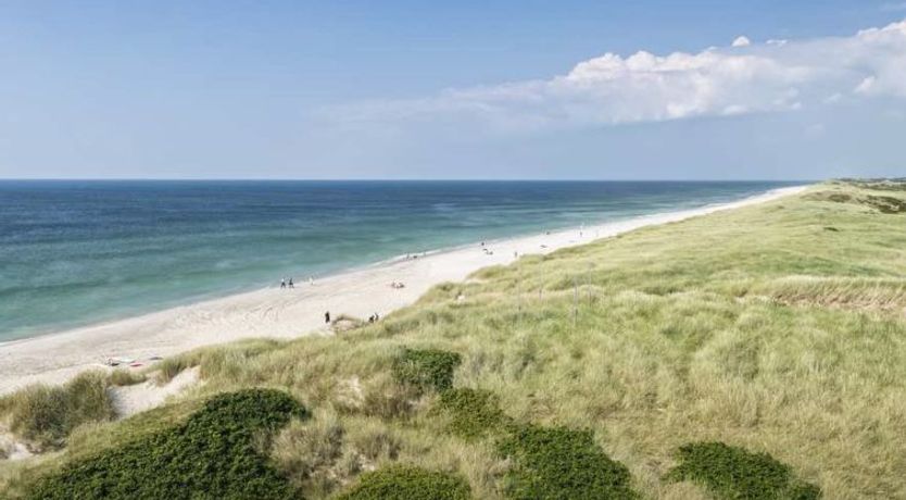 Photo of Pavilion L'Etage 10