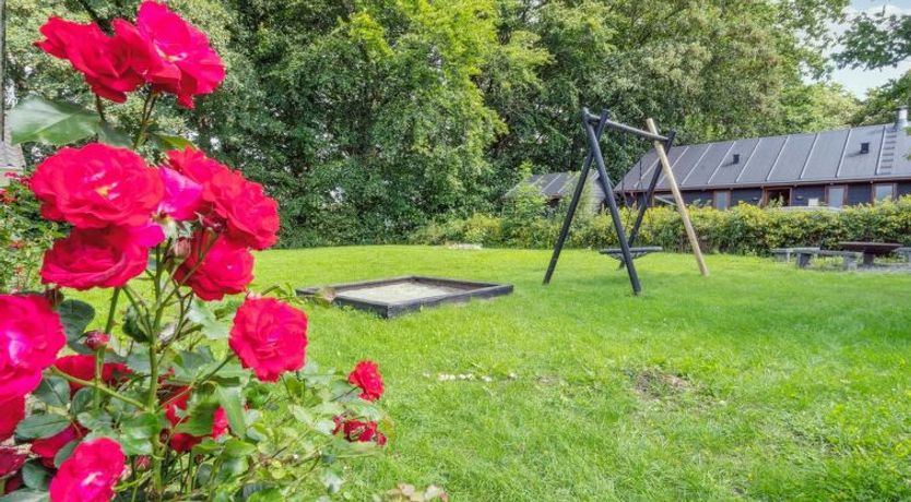 Photo of "Edin" - 150m from the sea