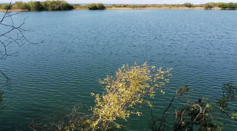 Photo of "Rina" - 250m from the sea