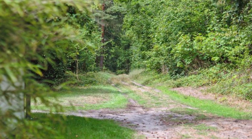 Photo of "Rina" - 250m from the sea