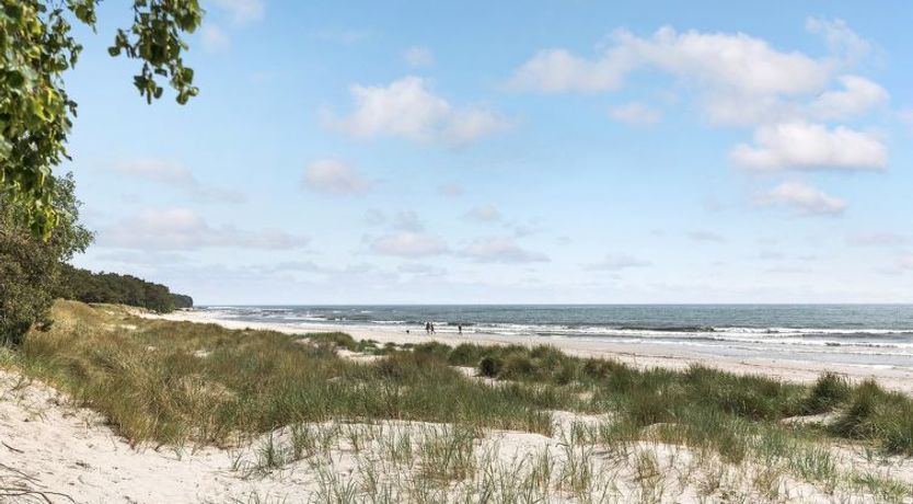 Photo of "Tume" - 200m from the sea