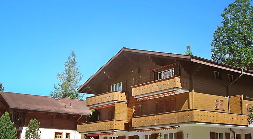 Photo of Chalet Almis-Bödeli Apartment 2