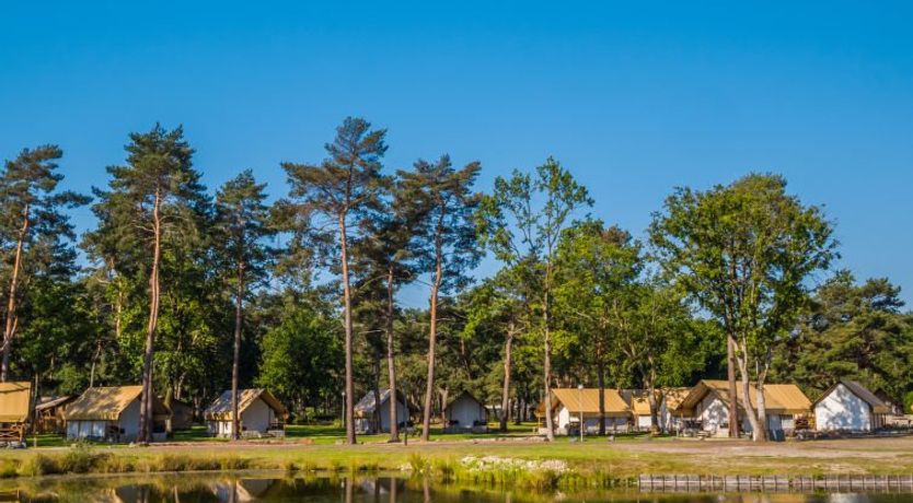 Photo of Glampingtent Silver Lodge 6