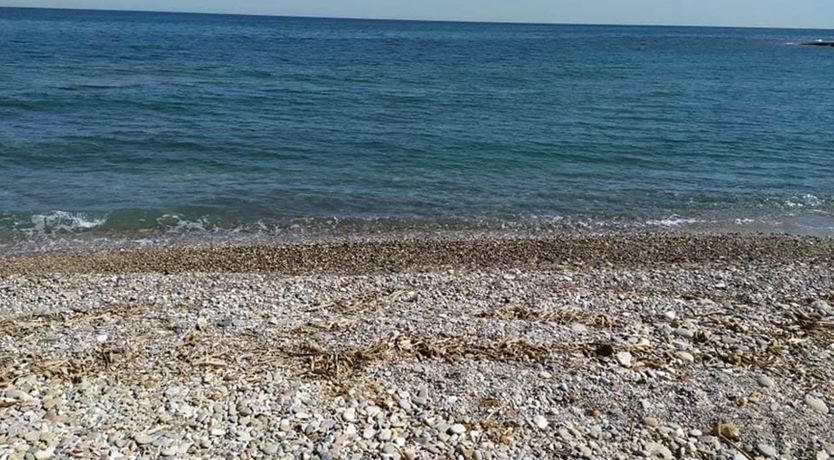 Photo of Pure Poetry