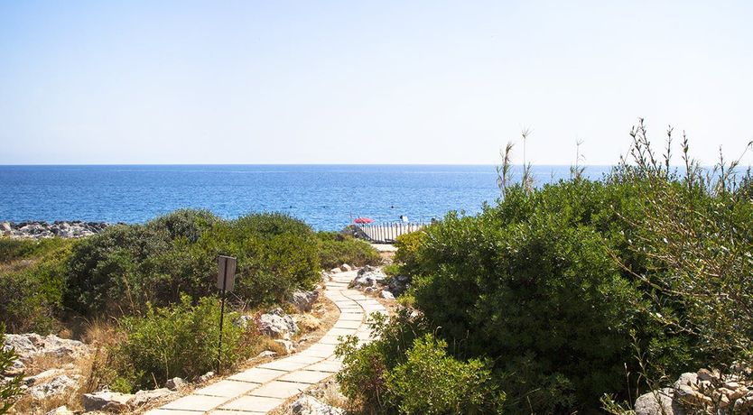 Photo of Steps to the Water