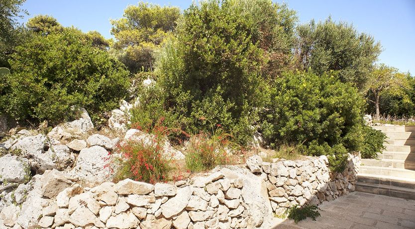 Photo of Steps to the Water