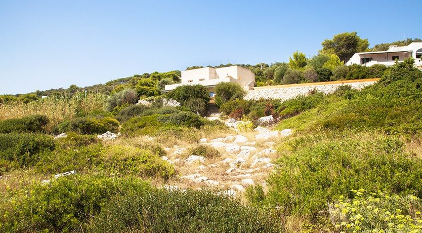 Photo of Steps to the Water