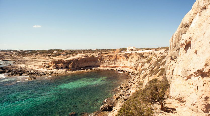 Photo of Pine & Eucalyptus