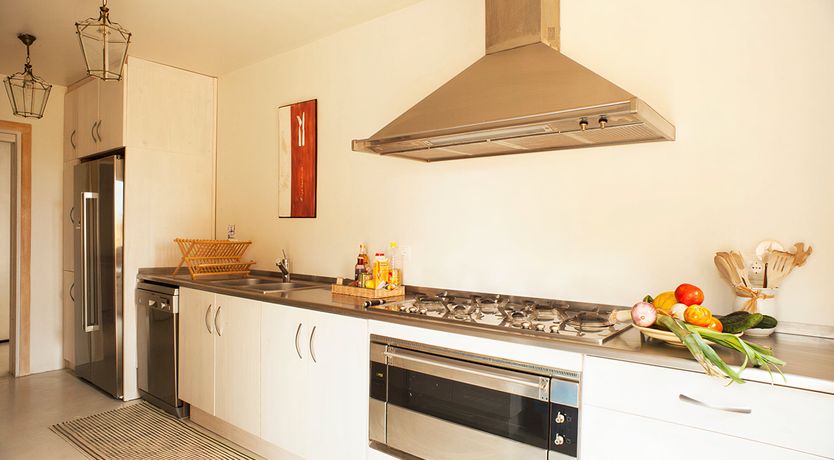 Photo of Pine & Eucalyptus