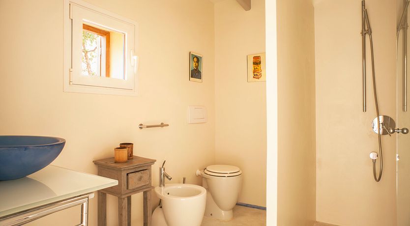 Photo of Pine & Eucalyptus