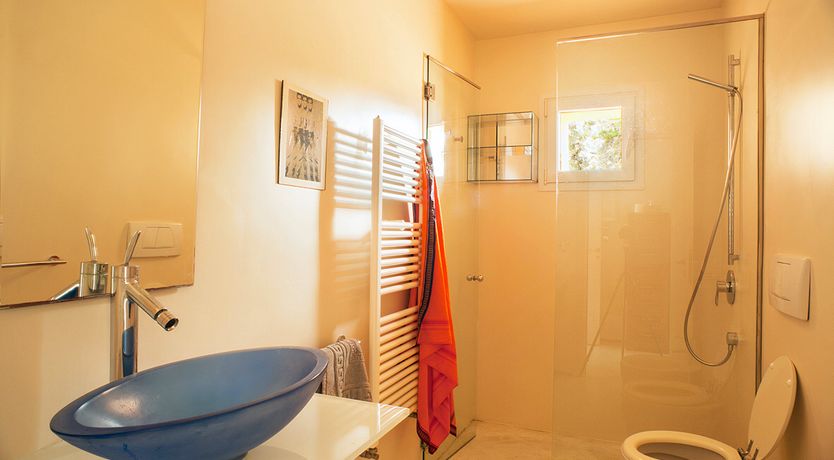 Photo of Pine & Eucalyptus