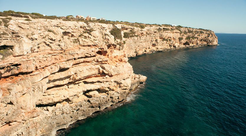 Photo of Pine & Eucalyptus