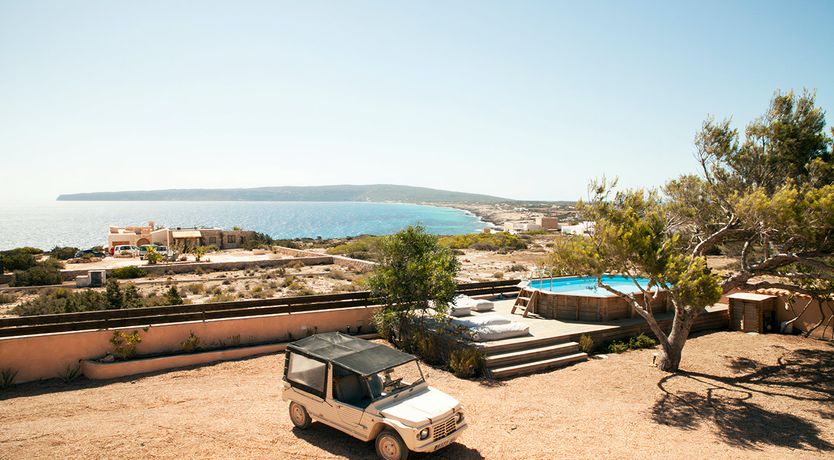 Photo of Pine & Eucalyptus