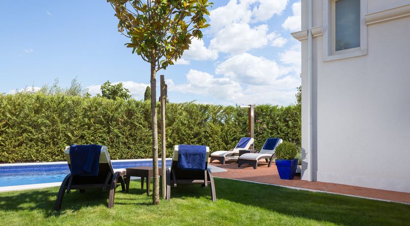 Photo of Raspberry Sunshine