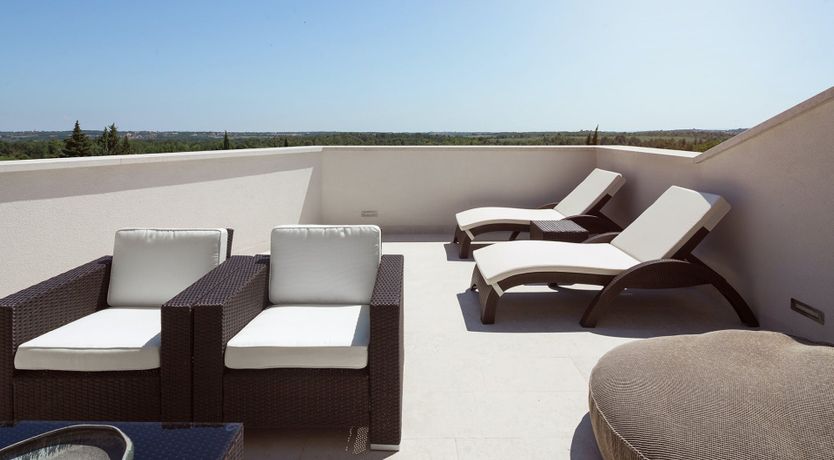 Photo of Raspberry Sunshine